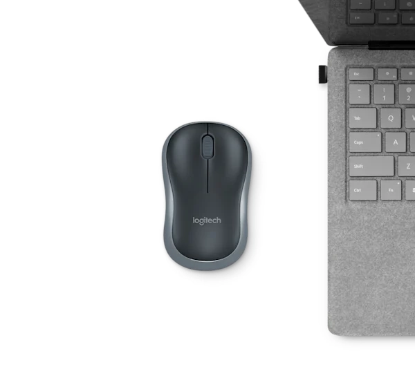 Mouse